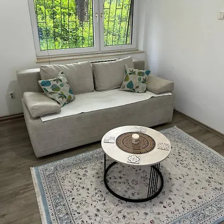 Apartment Alibeg *