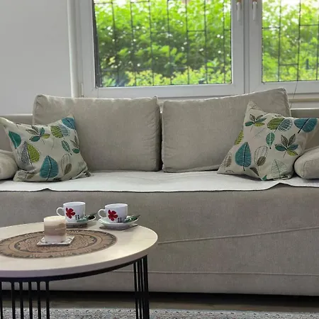 Apartment Apartment Alibeg
